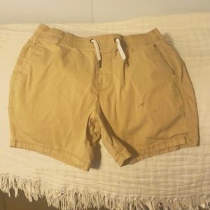 Mens Hollister Khaki Jogger Shorts size Small